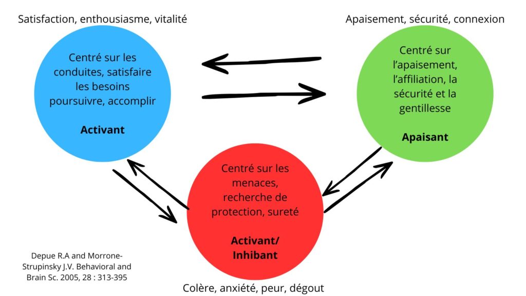 Le modèles des 3 cercle, la thérapie fondée sur la compassion